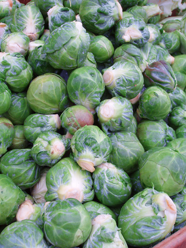 Brussels sprouts on Commercial Drive