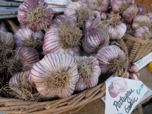 Portuguese garlic at Salt Spring Island market