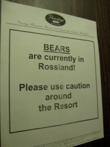 Bears are in Rossland